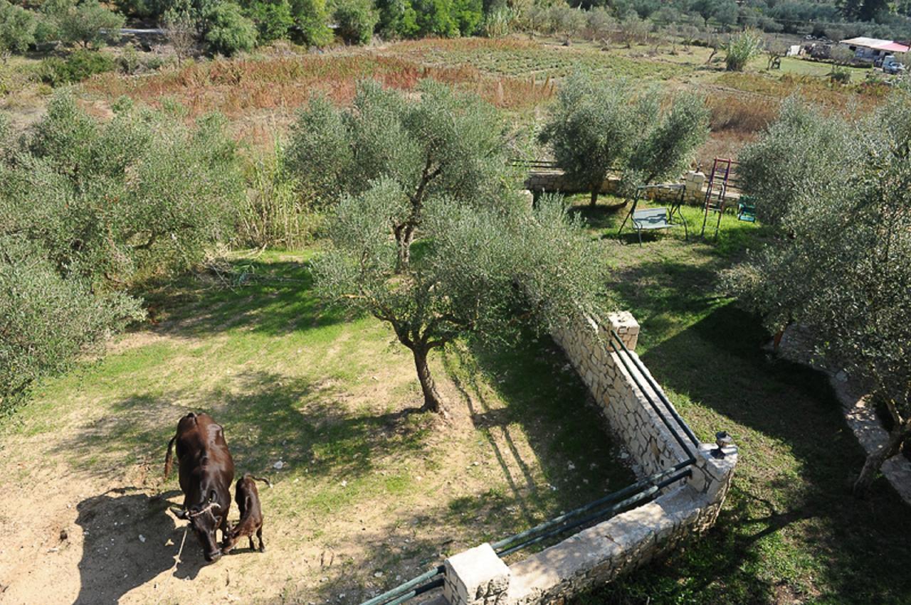 Vasilikí Ammos Zante Villas מראה חיצוני תמונה
